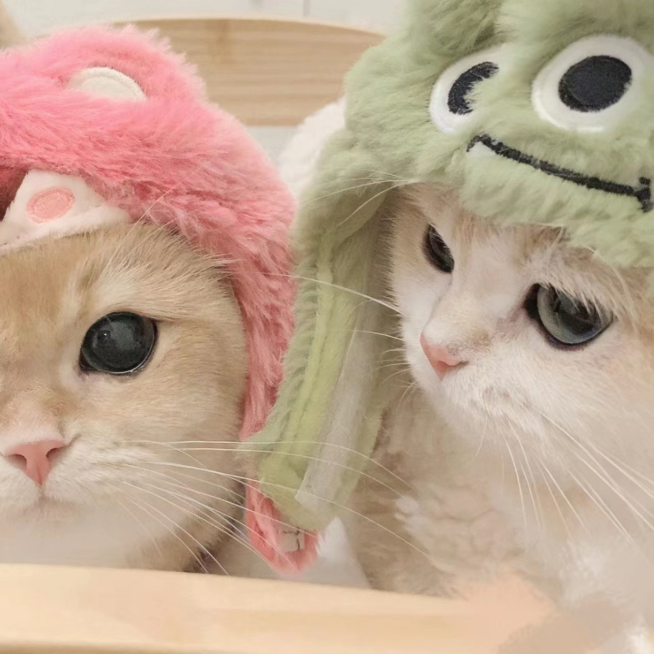 ✱色虎最新版APP应用